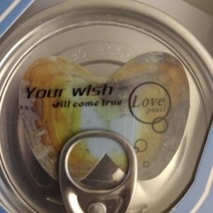 Oyster with authentic pearl inside kit